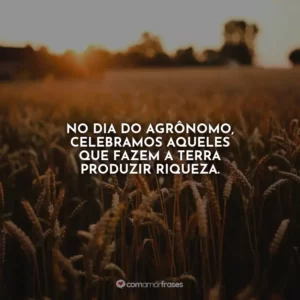 No Dia do Agrônomo, celebramos aqueles que fazem a terra produzir riqueza.