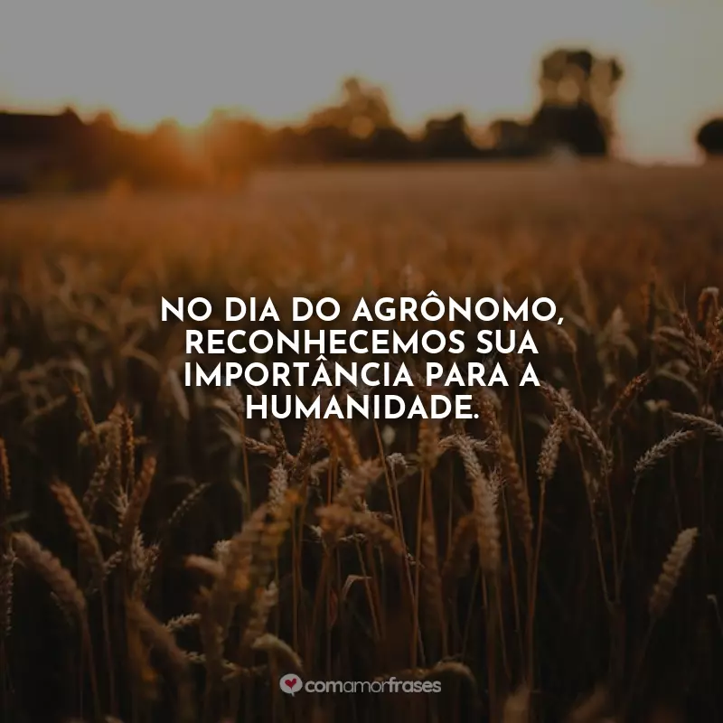 Dia do Agrônomo Frases: No Dia do Agrônomo, reconhecemos sua importância para a humanidade.