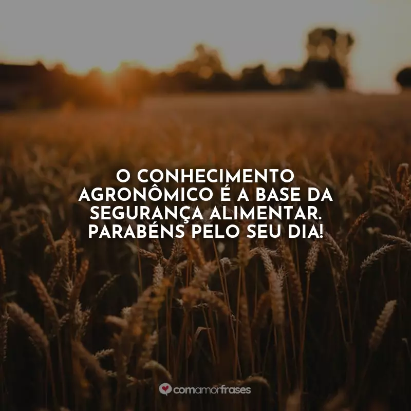 Frases Feliz Dia do Agrônomo: O conhecimento agronômico é a base da segurança alimentar. Parabéns pelo seu dia!
