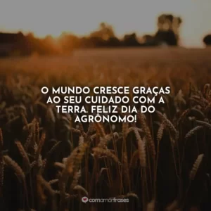 O mundo cresce graças ao seu cuidado com a terra. Feliz Dia do Agrônomo!