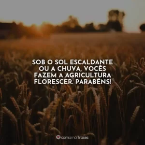 Sob o sol escaldante ou a chuva, vocês fazem a agricultura florescer. Parabéns!