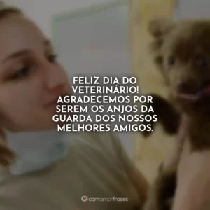 Feliz Dia do Veterinário! Agradecemos por serem os anjos da guarda dos nossos melhores amigos.