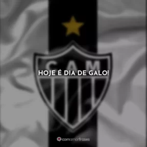 Hoje é dia de Galo!