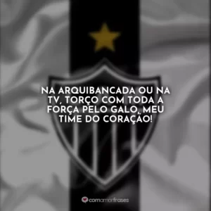 Na arquibancada ou na TV, torço com toda a força pelo Galo, meu time do coração!