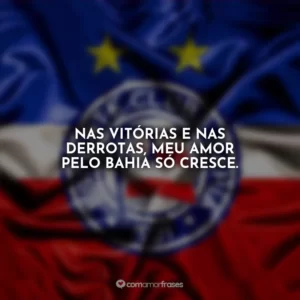Nas vitórias e nas derrotas, meu amor pelo Bahia só cresce.