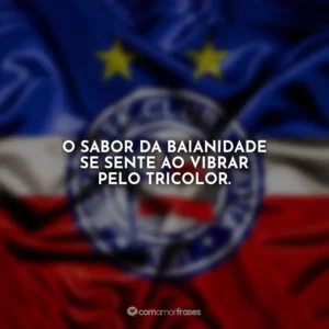 O sabor da baianidade se sente ao vibrar pelo Tricolor.