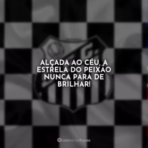 Alçada ao céu, a estrela do Peixão nunca para de brilhar!