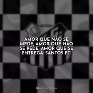 Amor que não se mede, amor que não se pede, amor que se entrega: Santos FC!