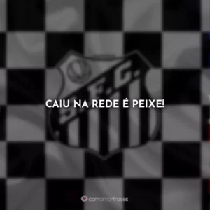 Caiu na rede é peixe!