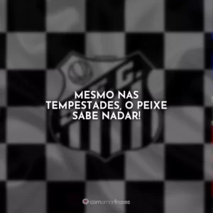 Mesmo nas tempestades, o Peixe sabe nadar!