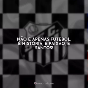 Não é apenas futebol, é história, é paixão, é Santos!