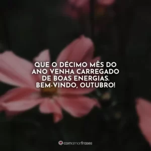 Que o décimo mês do ano venha carregado de boas energias. Bem-vindo, outubro!