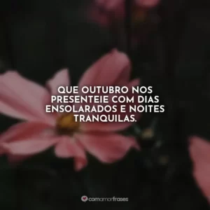 Que outubro nos presenteie com dias ensolarados e noites tranquilas.