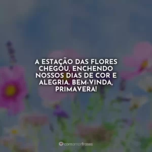 A estação das flores chegou, enchendo nossos dias de cor e alegria. Bem-vinda, primavera!