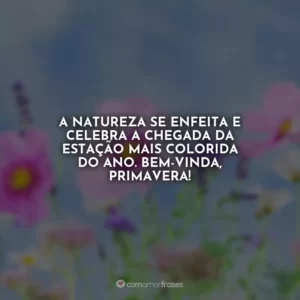 A natureza se enfeita e celebra a chegada da estação mais colorida do ano. Bem-vinda, primavera!