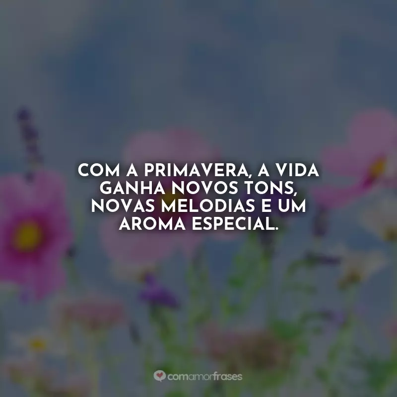 Frases Primavera seja bem vinda: Com a primavera, a vida ganha novos tons, novas melodias e um aroma especial.