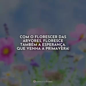Com o florescer das árvores, floresce também a esperança. Que venha a primavera!