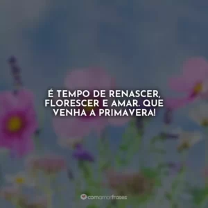 É tempo de renascer, florescer e amar. Que venha a primavera!
