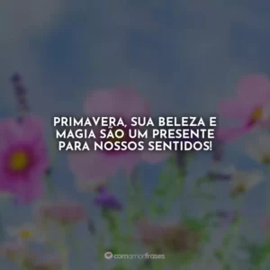 Primavera, sua beleza e magia são um presente para nossos sentidos!
