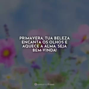 Primavera, tua beleza encanta os olhos e aquece a alma. Seja bem-vinda!