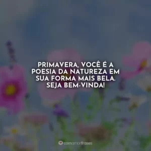 Primavera, você é a poesia da natureza em sua forma mais bela. Seja bem-vinda!