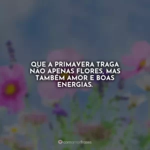 Que a primavera traga não apenas flores, mas também amor e boas energias.