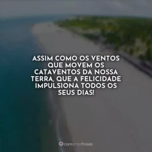 Assim como os ventos que movem os cataventos da nossa terra, que a felicidade impulsiona todos os seus dias!