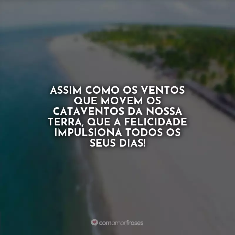 Frases Aniversário Piauí Homenagem: Assim como os ventos que movem os cataventos da nossa terra, que a felicidade impulsiona todos os seus dias!