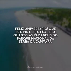 Feliz aniversário! Que sua vida seja tão bela quanto as paisagens do Parque Nacional da Serra da Capivara.