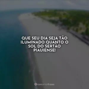 Que seu dia seja tão iluminado quanto o sol do sertão piauiense!