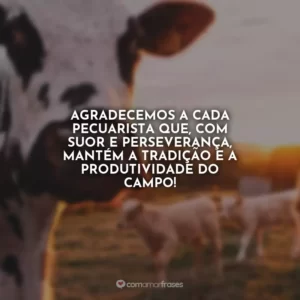 Agradecemos a cada pecuarista que, com suor e perseverança, mantém a tradição e a produtividade do campo!
