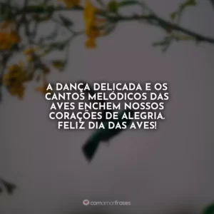 A dança delicada e os cantos melódicos das aves enchem nossos corações de alegria. Feliz Dia das Aves!