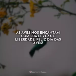 As aves nos encantam com sua leveza e liberdade, feliz Dia das Aves!