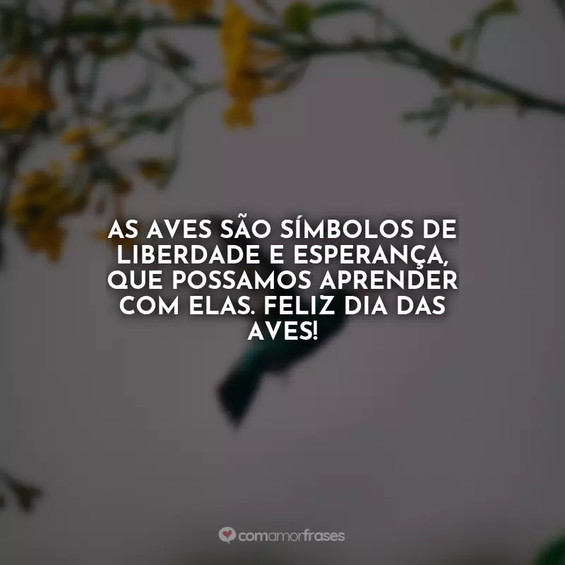 Dia das Aves Frases: As aves são símbolos de liberdade e esperança, que possamos aprender com elas. Feliz Dia das Aves!