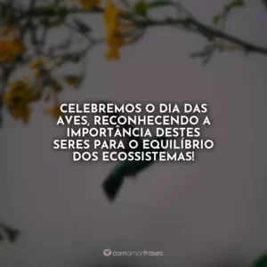 Celebremos o Dia das Aves, reconhecendo a importância destes seres para o equilíbrio dos ecossistemas!