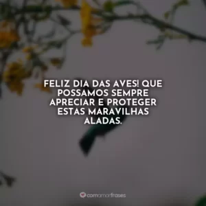 Feliz Dia das Aves! Que possamos sempre apreciar e proteger estas maravilhas aladas.