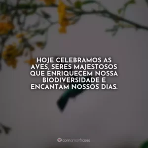Hoje celebramos as aves, seres majestosos que enriquecem nossa biodiversidade e encantam nossos dias.