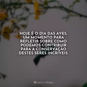 Hoje é o Dia das Aves, um momento para refletir sobre como podemos contribuir para a conservação destes seres incríveis.