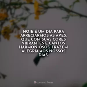 Hoje é um dia para apreciarmos as aves, que com suas cores vibrantes e cantos harmoniosos, trazem alegria aos nossos dias.
