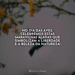 No Dia das Aves, celebremos estas maravilhas aladas que simbolizam a liberdade e a beleza da natureza!