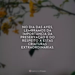 No Dia das Aves, lembramos da importância da preservação e do respeito a estas criaturas extraordinárias.