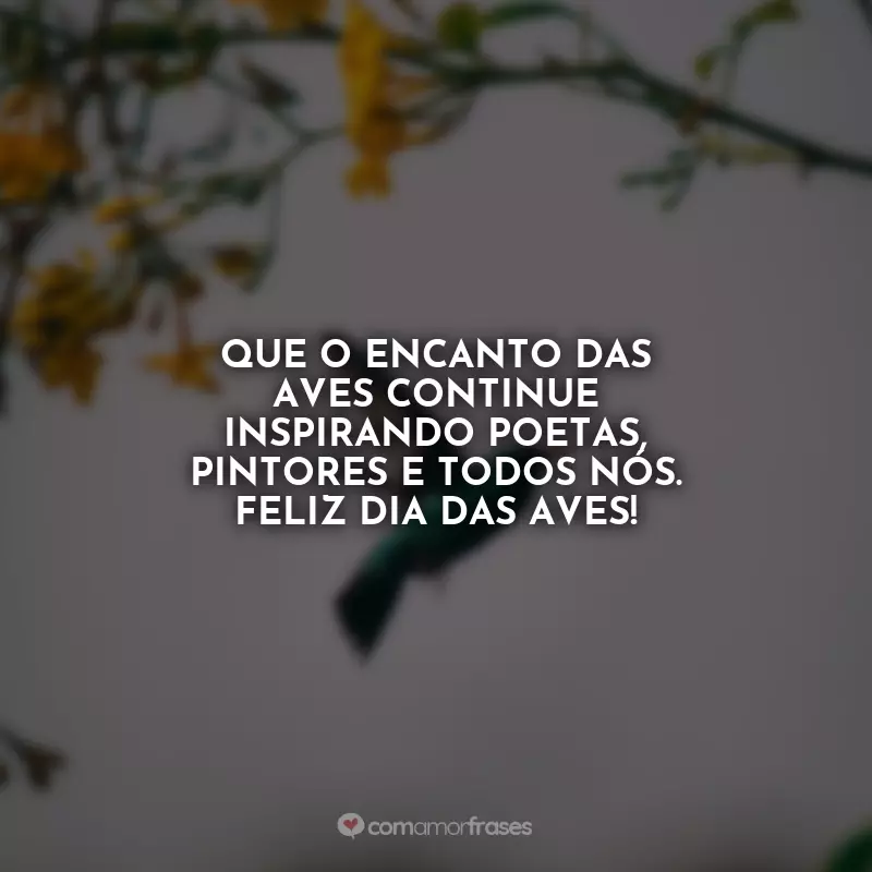 Dia das Aves Frases: Que o encanto das aves continue inspirando poetas, pintores e todos nós. Feliz Dia das Aves!