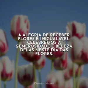 A alegria de receber flores é inigualável. Celebremos a generosidade e beleza delas neste Dia das Flores.