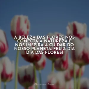 A beleza das flores nos conecta à natureza e nos inspira a cuidar do nosso planeta. Feliz Dia dia das Flores!