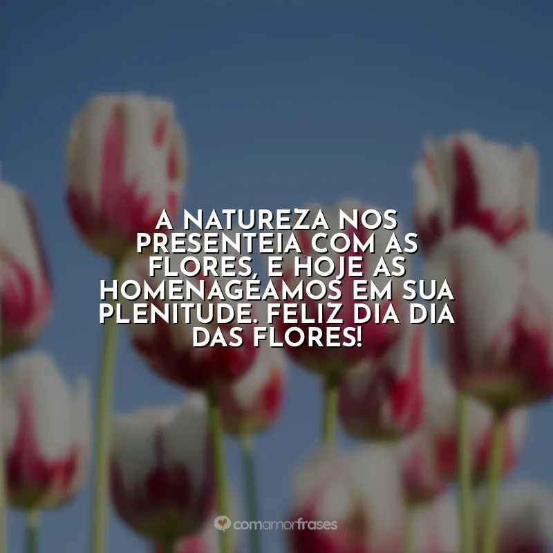 Frases Dia das Flores: A natureza nos presenteia com as flores, e hoje as homenageamos em sua plenitude. Feliz Dia dia das Flores!