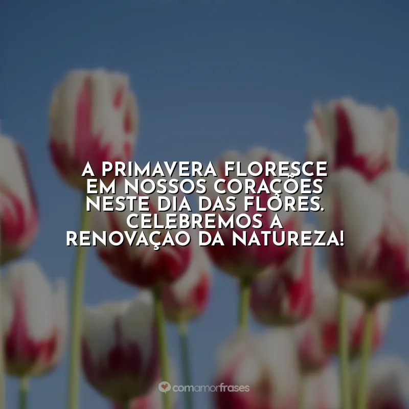 Frases Dia das Flores: A primavera floresce em nossos corações neste Dia das Flores. Celebremos a renovação da natureza!