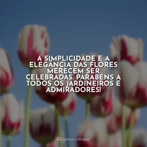 A simplicidade e a elegância das flores merecem ser celebradas. Parabéns a todos os jardineiros e admiradores!