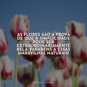 As flores são a prova de que a simplicidade pode ser extraordinariamente bela. Parabéns a essas maravilhas naturais!