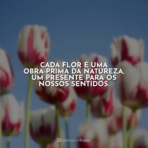 Cada flor é uma obra-prima da natureza, um presente para os nossos sentidos.