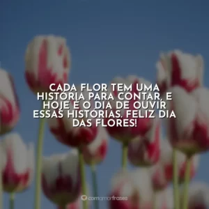 Cada flor tem uma história para contar, e hoje é o dia de ouvir essas histórias. Feliz Dia das Flores!